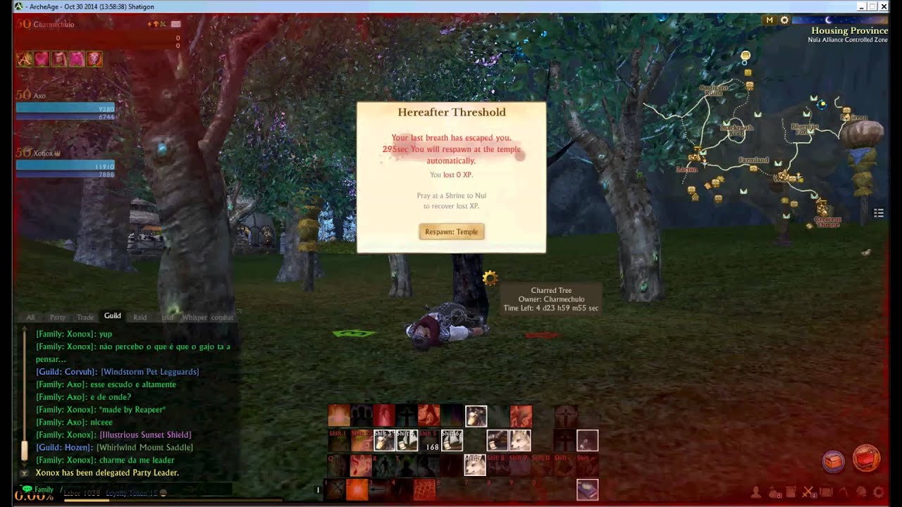 Hit by thunder in rumbling archeum trees [Thunderstruck tree]