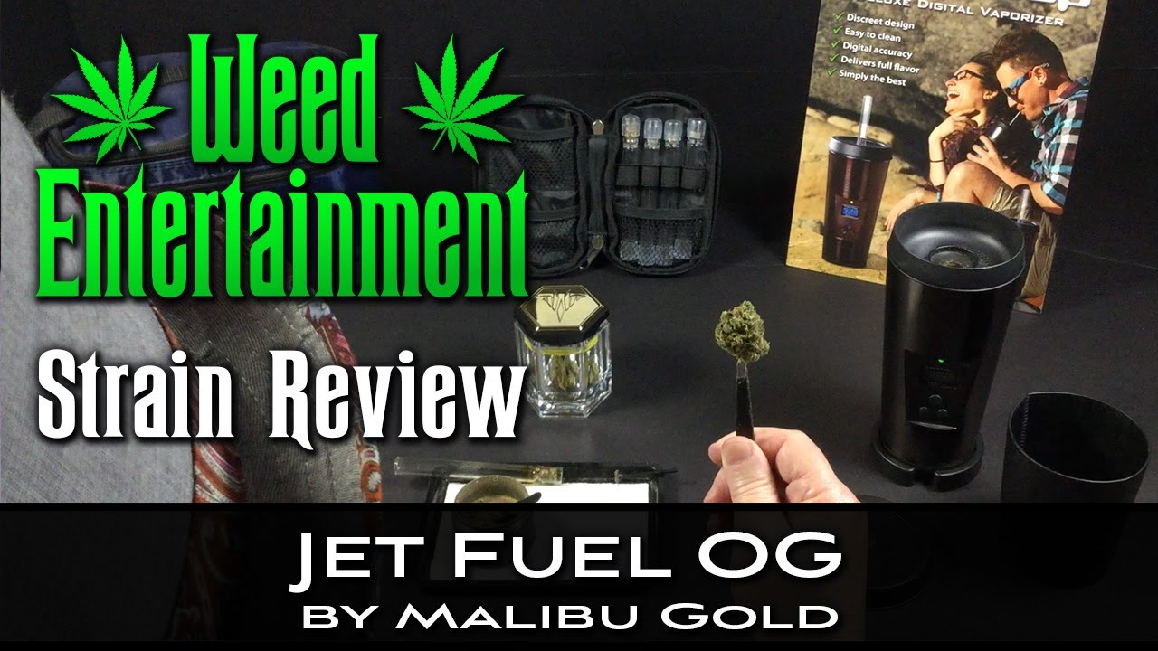 Jet Fuel OG - Sativa Hybrid - by Malibu Gold - Strain Review - Cookies, Woodland Hills Ca