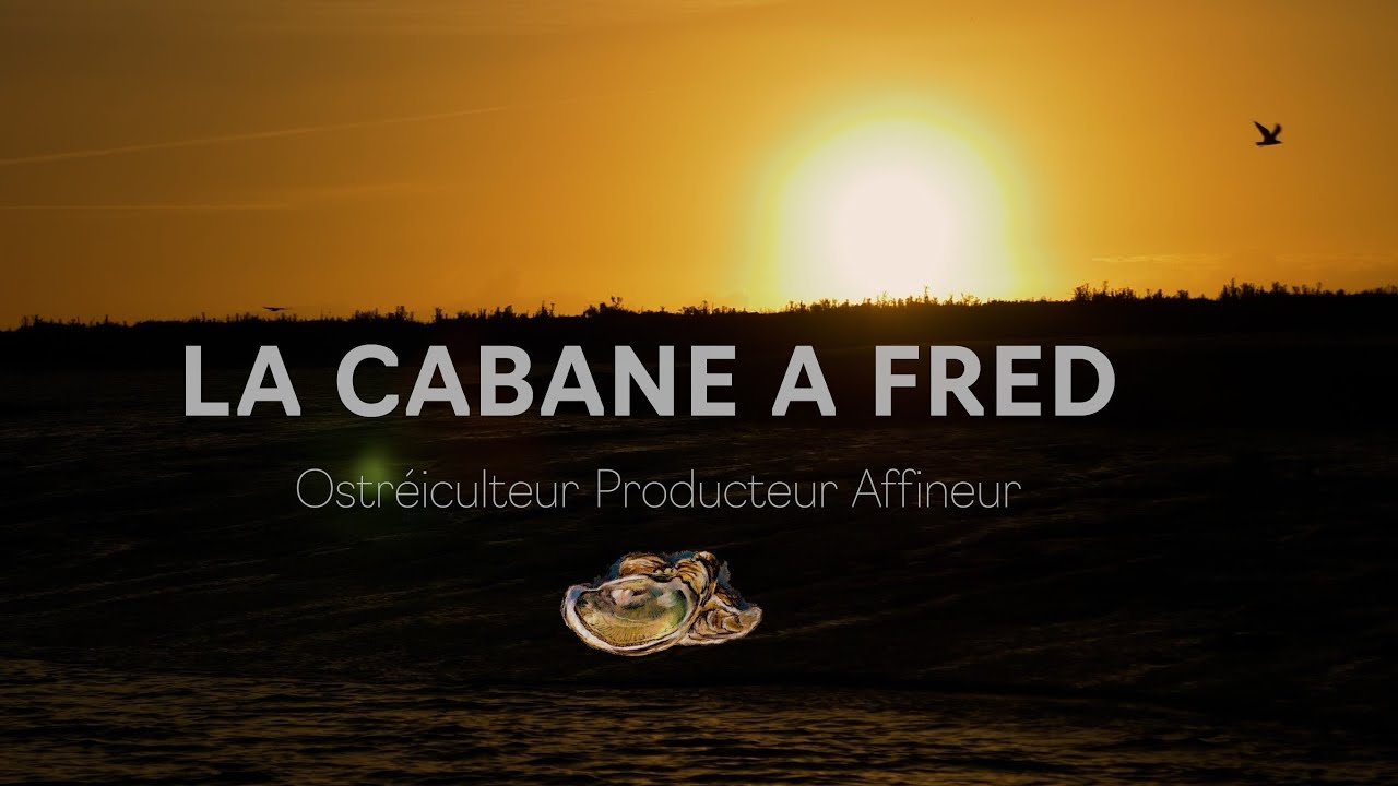 La CABANE à Fred - Ostréiculteur Producteur Affineur - 4K - MARENNES