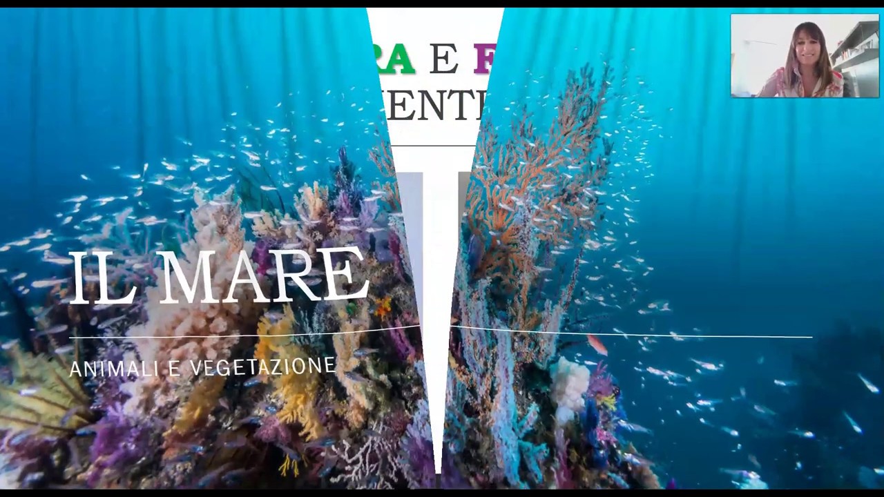 Il mare: flora e fauna