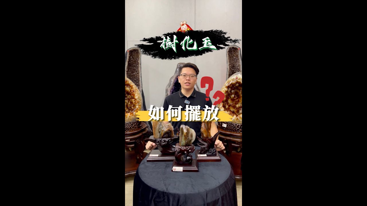 樹化玉要擺放在哪裡⁉️擺在哪個空間最好❓能帶來怎樣的功效❓觀龍水晶楊店長帶您了解✨|觀龍水晶
