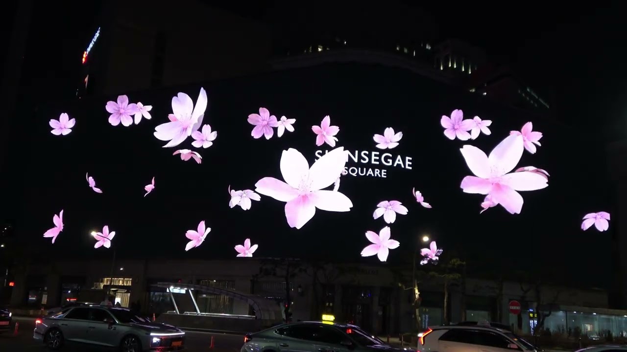 신세계 미디어파사트 봄맞이? 영상 소니AX-43A 4K