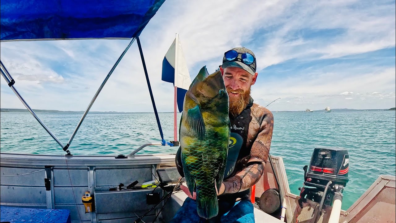 2 Days Solo Spearfishing | East Coast Australia  | Catch & Cook
