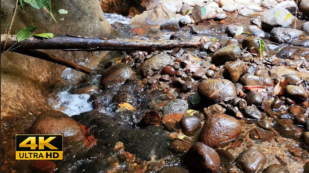 8 Hours Peaceful River Flow 😴  Sleep Instantly with Water ASMR ( 4K UHD)