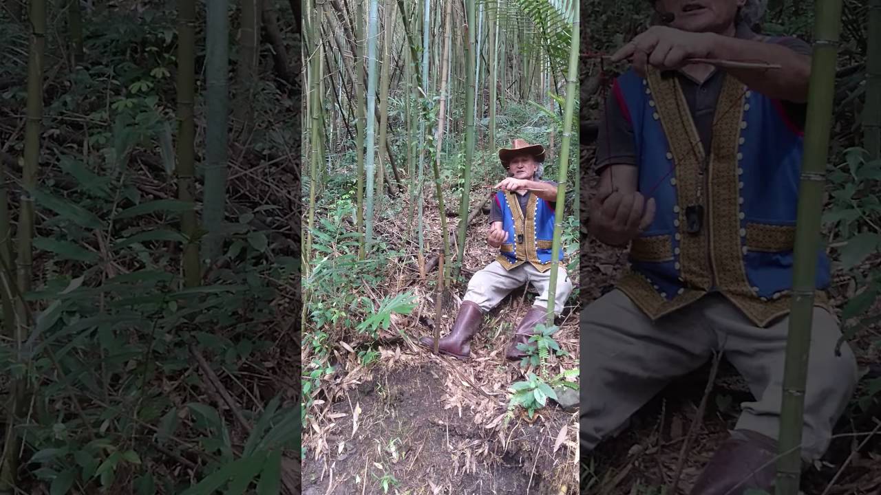 2016 10 10(1) 山豬山羌陷阱