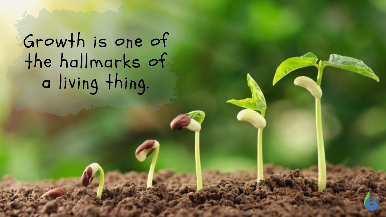 Spiritual Growth Is a MUST