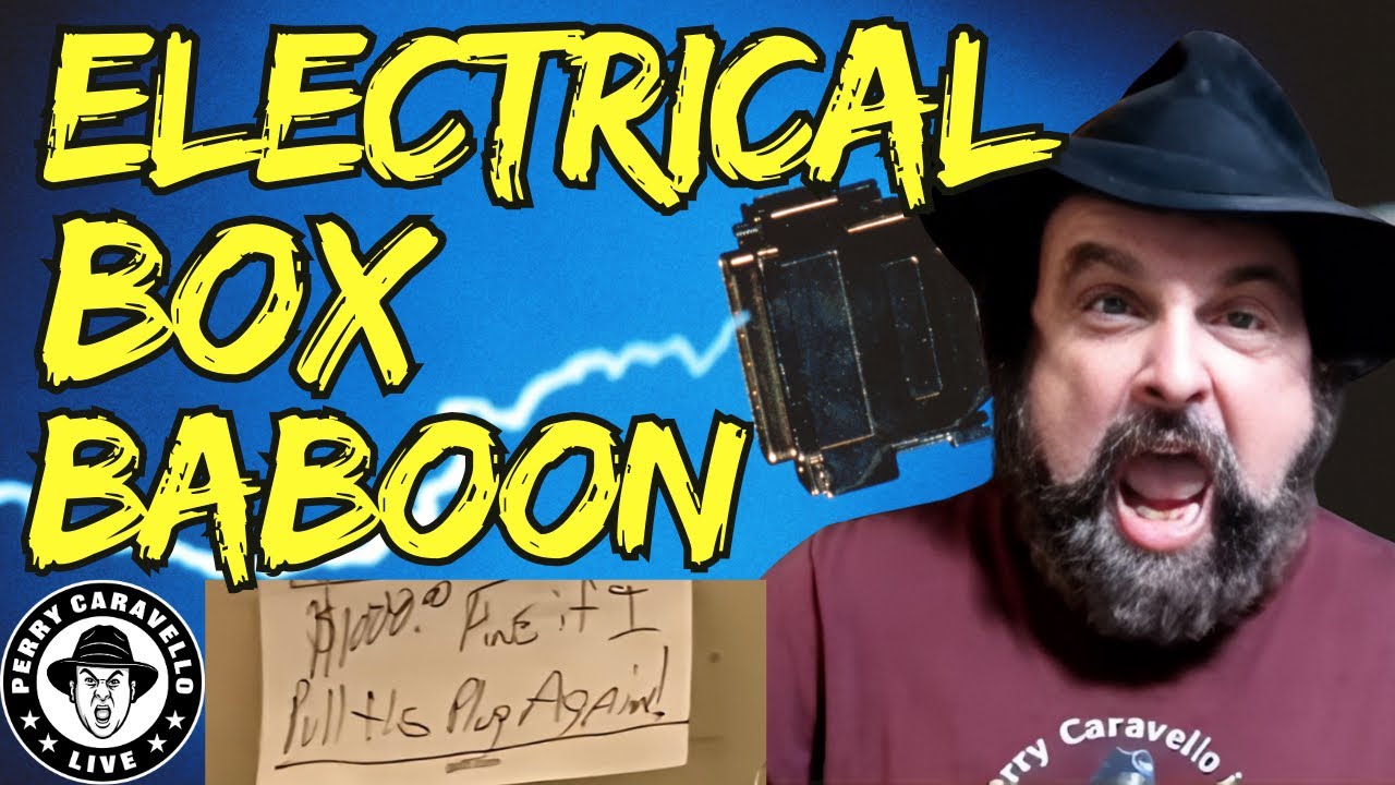 PCL Clips: Electrical Box Baboon