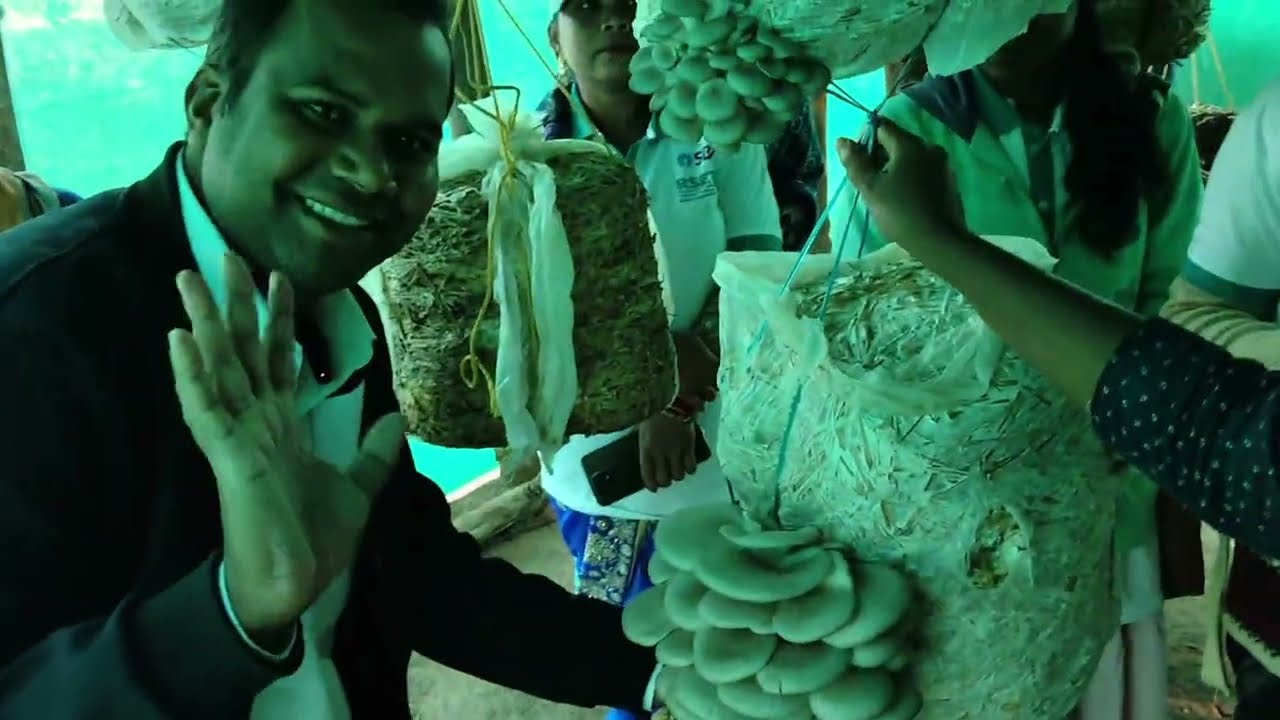 ଲକ୍ଷ୍ୟପତି ଦିଦି ପ୍ରୟାସ ରେ ଛତୁ ଚାଷୀ 