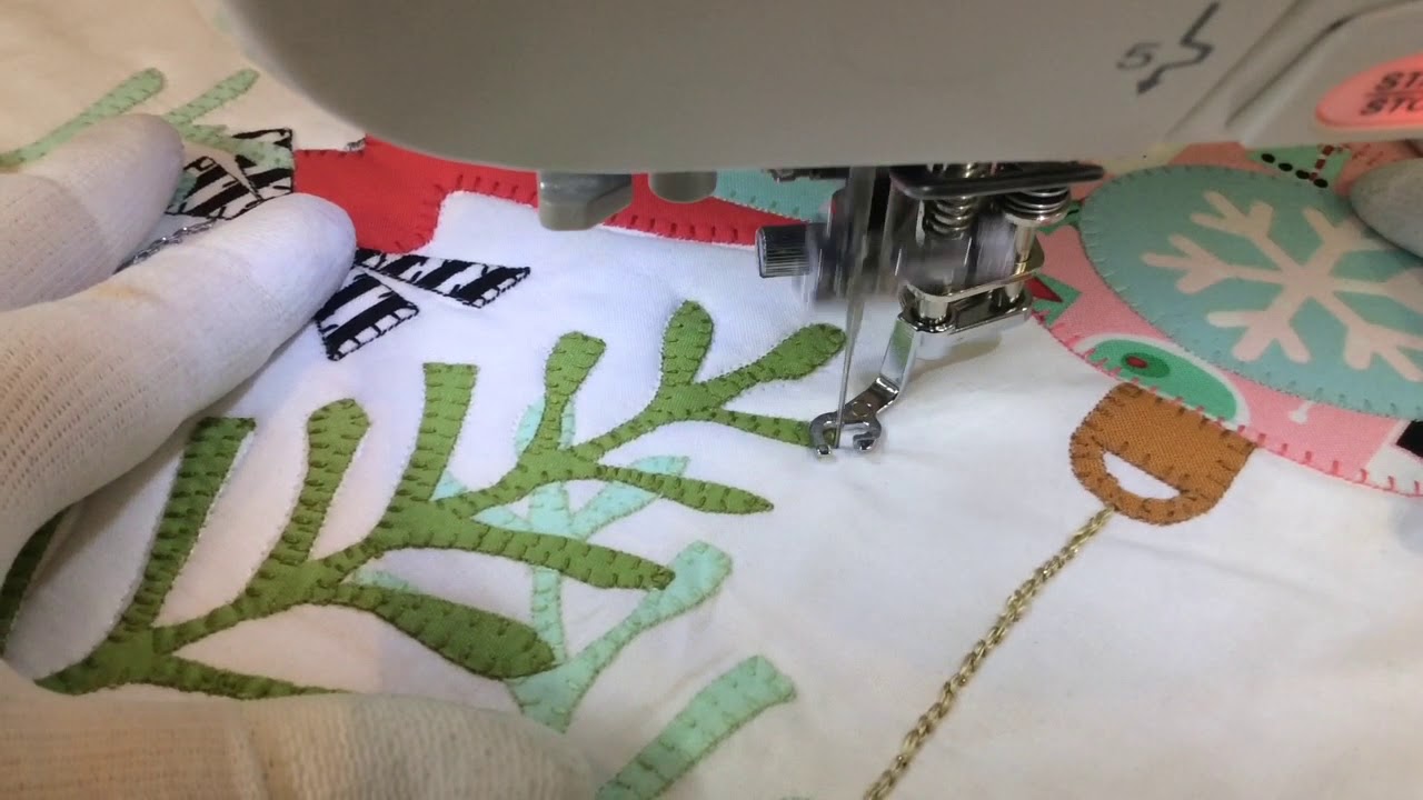 Quilting Around Applique