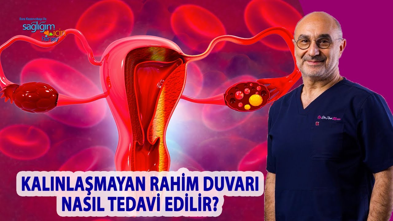 Endometrium (rahim duvarı) Nedir?, Kalınlaşmayan Rahim Duvarı Nasıl Tedavi Edilir?