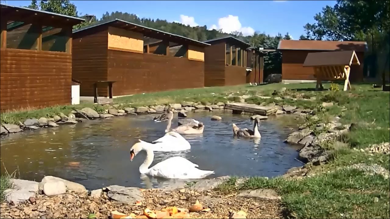 Станция спасения животных Маков (Чехия). Z&aacute;chrann&aacute; stanice živočichů Makov