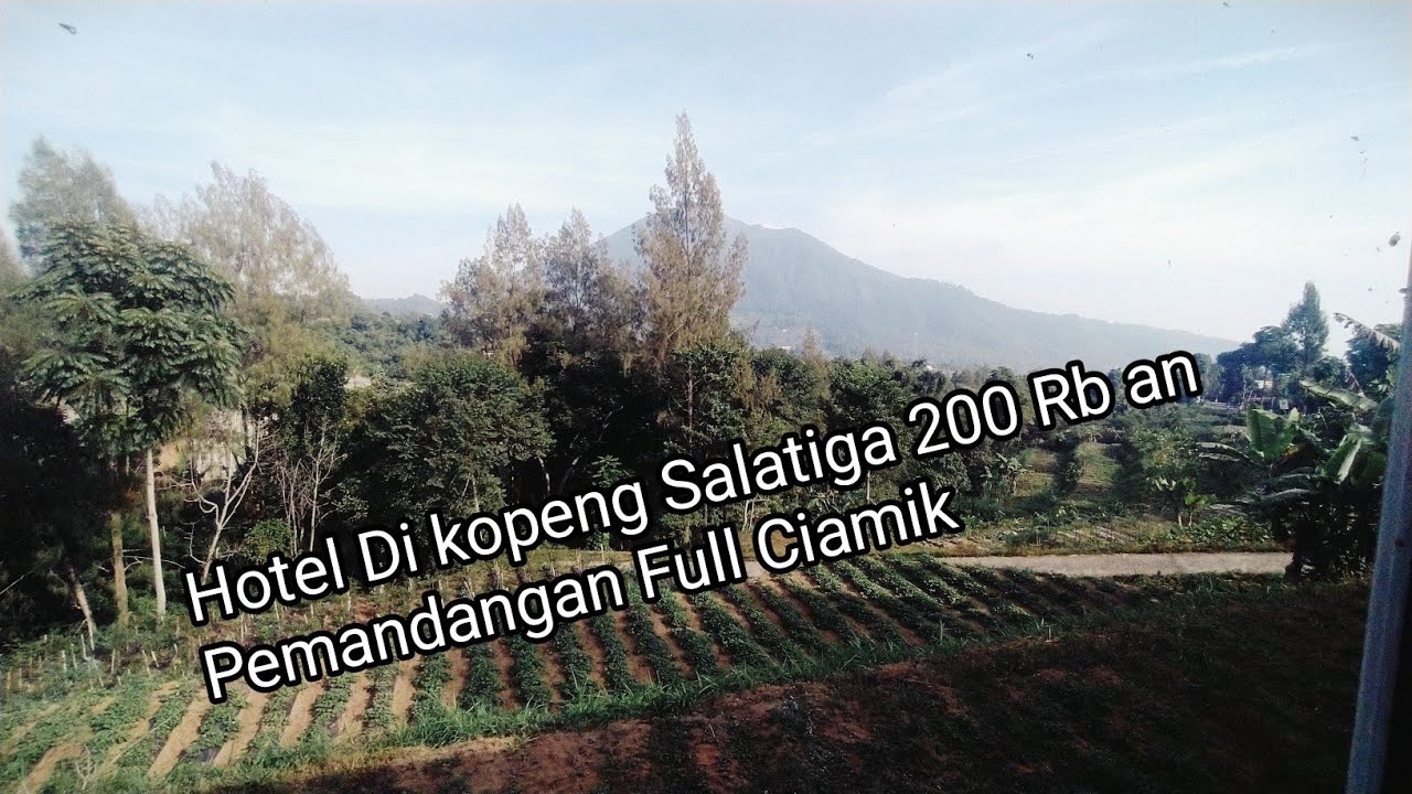 Hotel Murah dan Bersih di Kopeng || RedDoorz near STAB Syailendra || Budget +/- 200 Rb