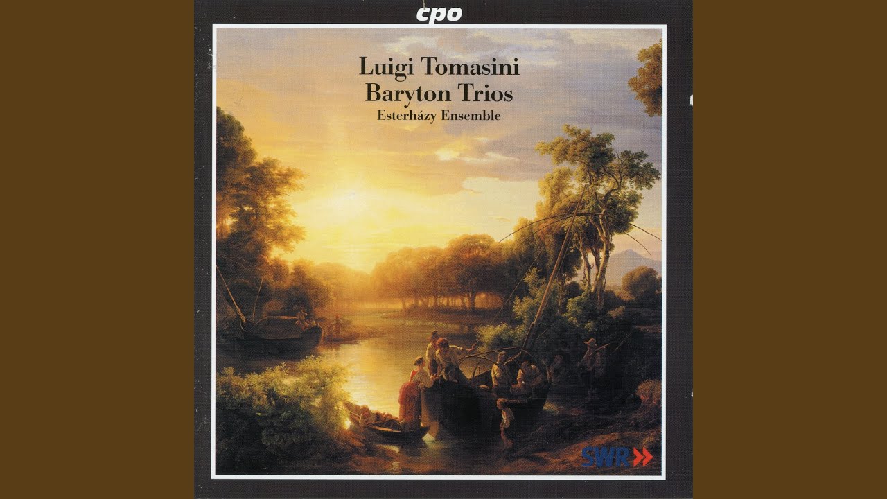 Baryton Trio in E Minor, K. 34: I. Allegro molto