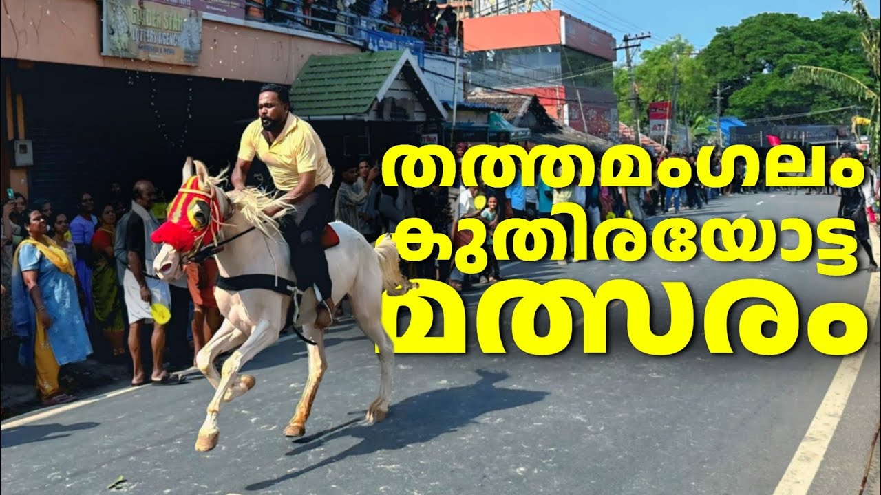 💢തത്തമംഗലം കുതിരയോട്ടം കാണാൻ പോയപ്പോൾ#thathamanglam horse ride #youtubevideo #shanvlogy