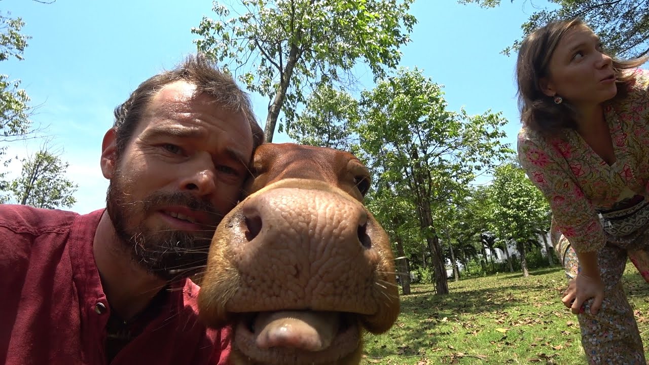 Вьетнам Дананг #11 Мы обязательно сюда вернемся!