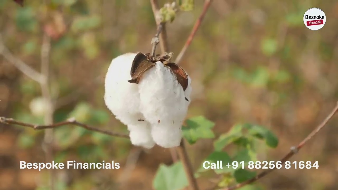 India's Handloom Industry 4K
