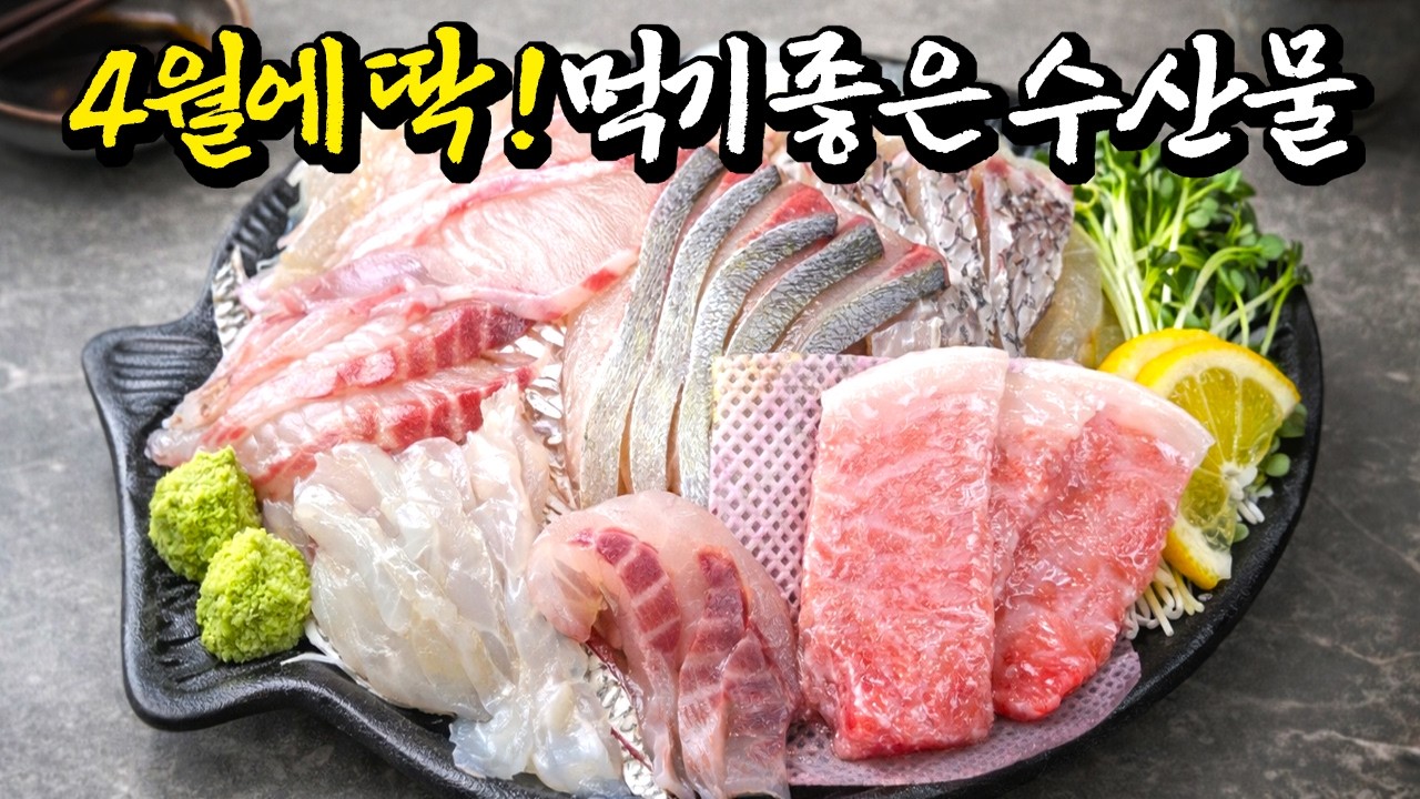 지금 무조건 이겁니다... 4월에 가장 맛있는 생선회, 해산물 총정리
