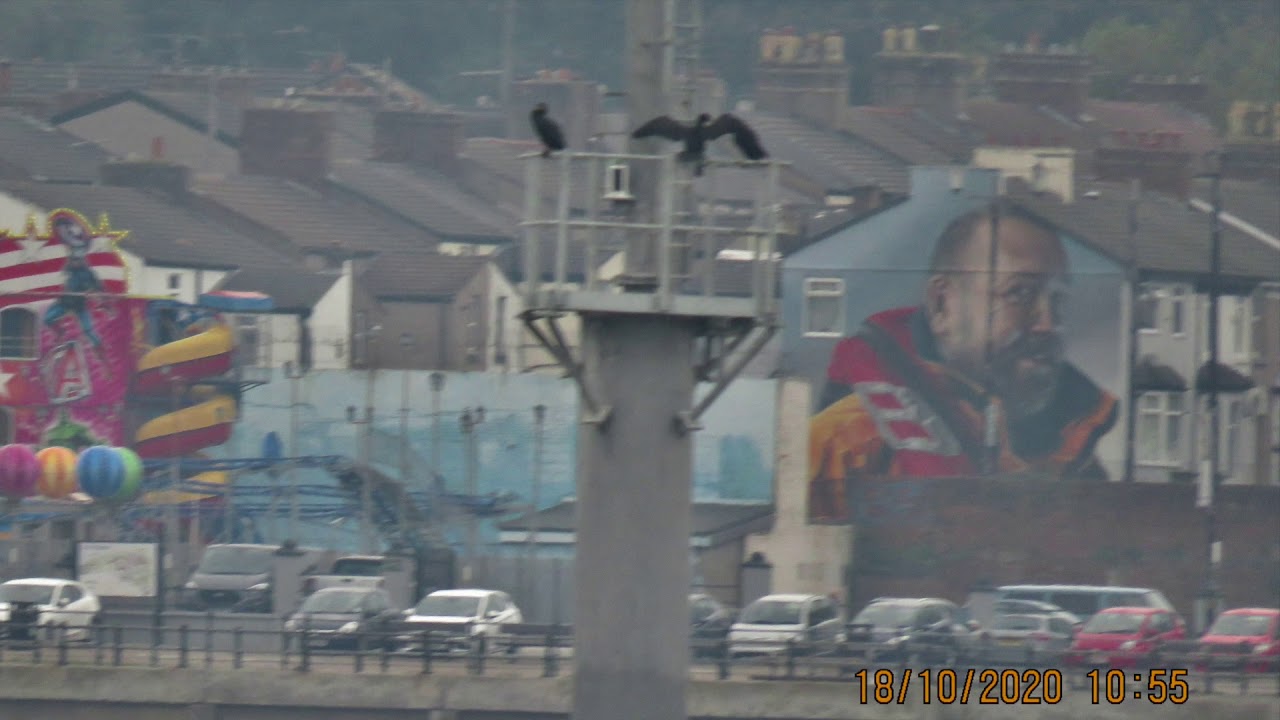 Dee Sailing club to Liverpool Marina