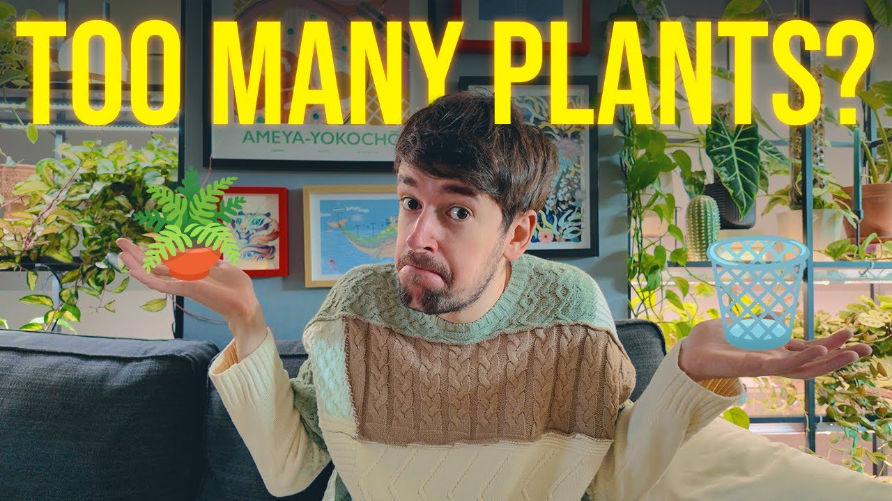 How & When to DOWNSIZE Your Plant Collection 🫣