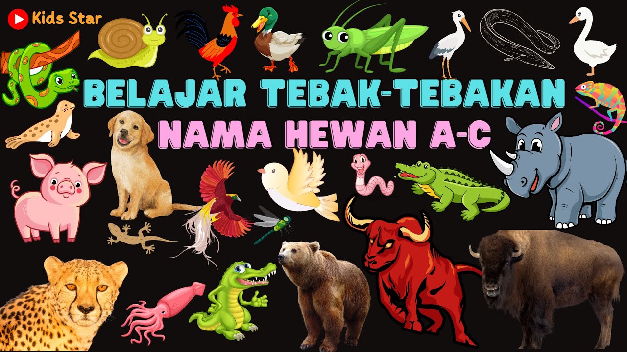 BELAJAR TEBAK-TEBAKAN NAMA NAMA HEWAN A-C BAHASA INDONESIA BAHASA INGGRIS LEARNING ANIMALS NAME