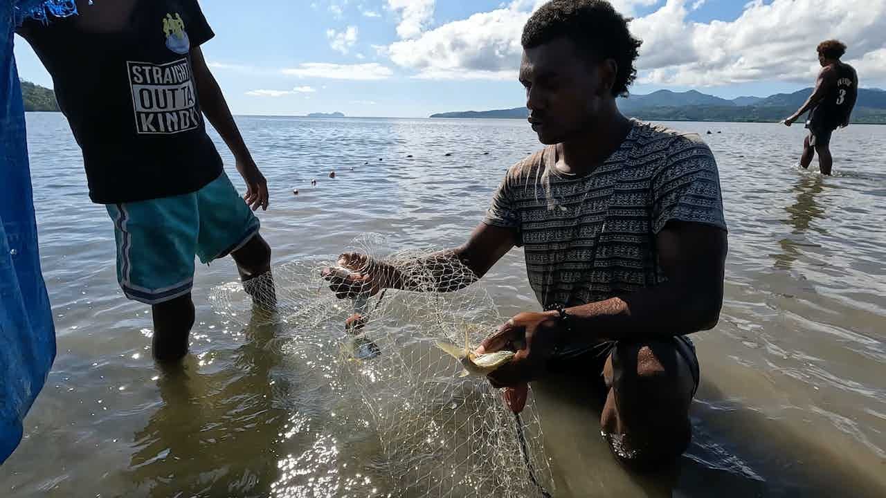 Net Fishing Village Edition: Qoli Molisa (Catch, Clean & Cook)🐟🇫🇯