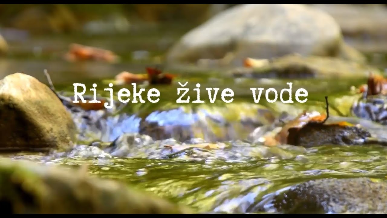 Aleksandra - Rijeke žive vode (cover)