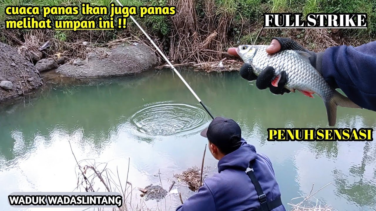 NYORE DI PINGGIRAN WADUK WADASLINTANG || HASIL DI LUAR DUGAAN #fishing