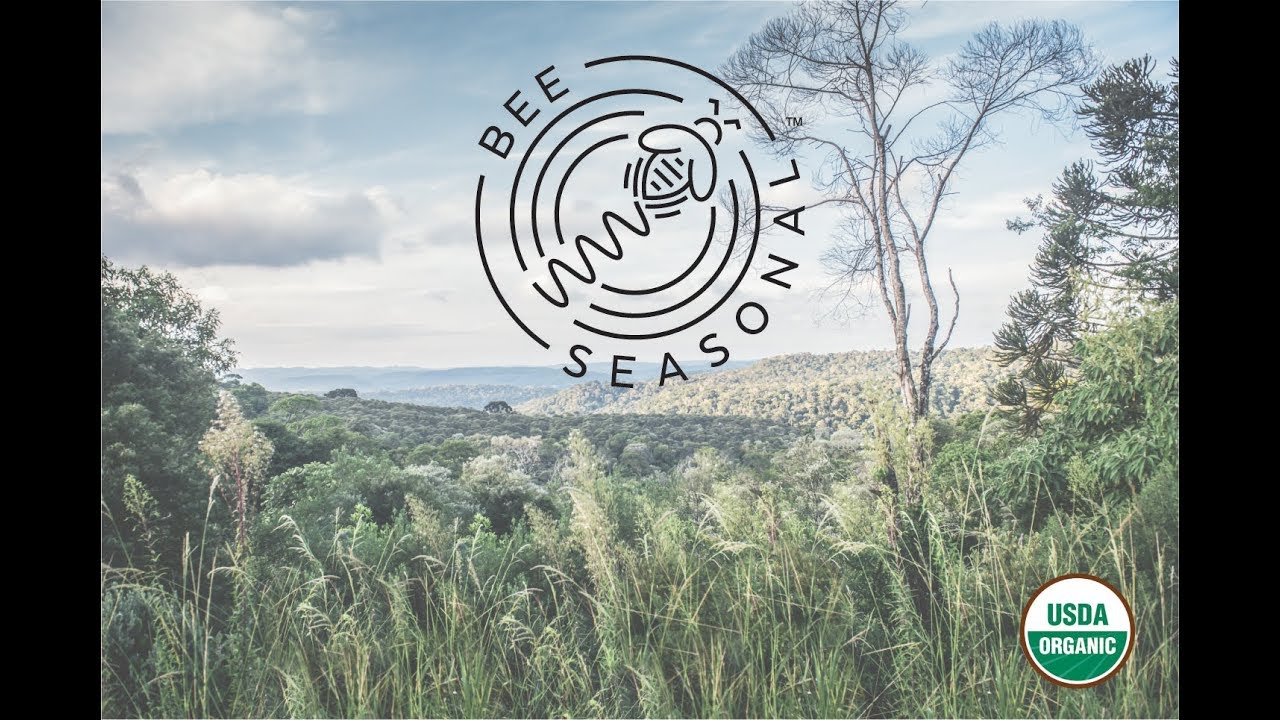 Organic Beekeeping with Bee Seasonal!