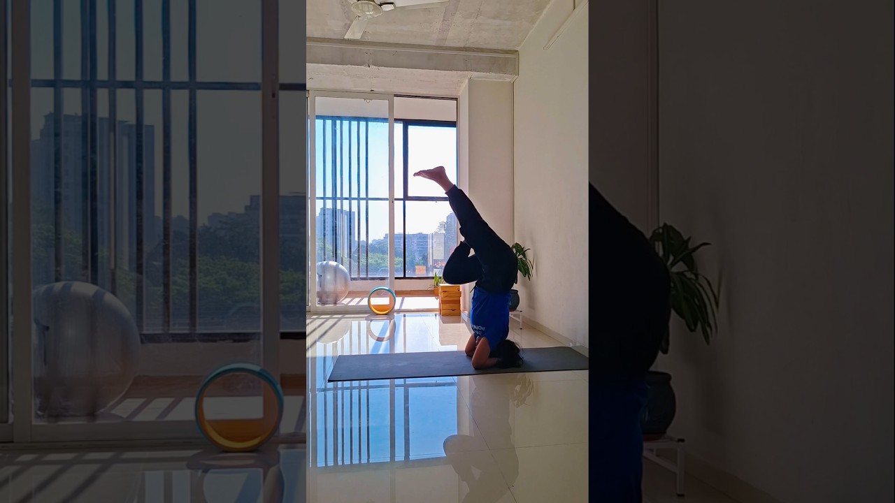 Join Bliss Yoga to learn advance yoga transitions in safe way...#yogastudio #travel  #entertainment