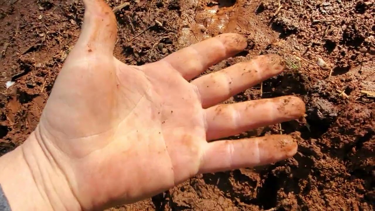 compacting soil after rain. How to know if you can do it.