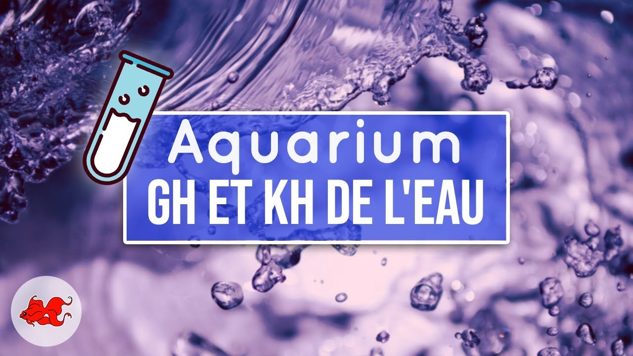 Le GH & KH de l'eau de l'aquarium