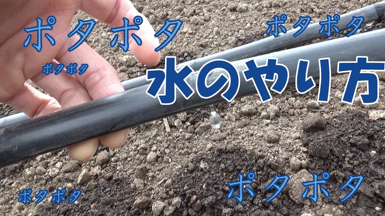 水やり用のチューブについて