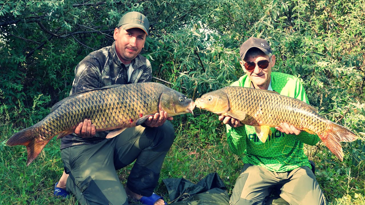 Goana după CRAPI MARI în DELTA DUNĂRII