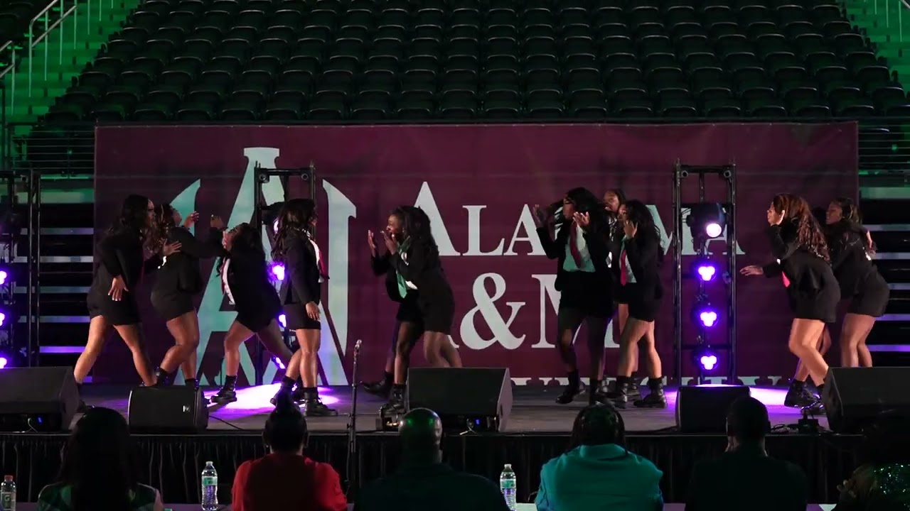 Alabama A&M 2024 Homecoming Step Show- Alpha Kappa Alpha