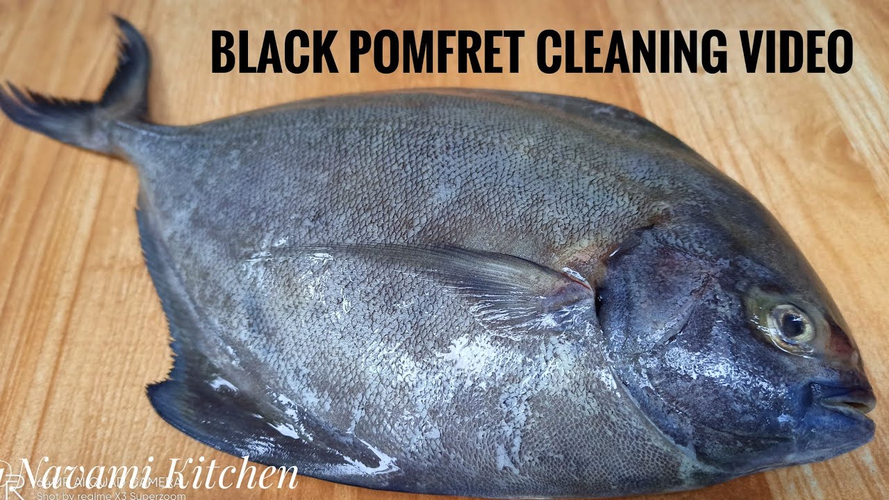 Black pomfret Cleaning | കറുത്ത ആവോലി | Avoli fish Cleaning | fish Cleaning at home