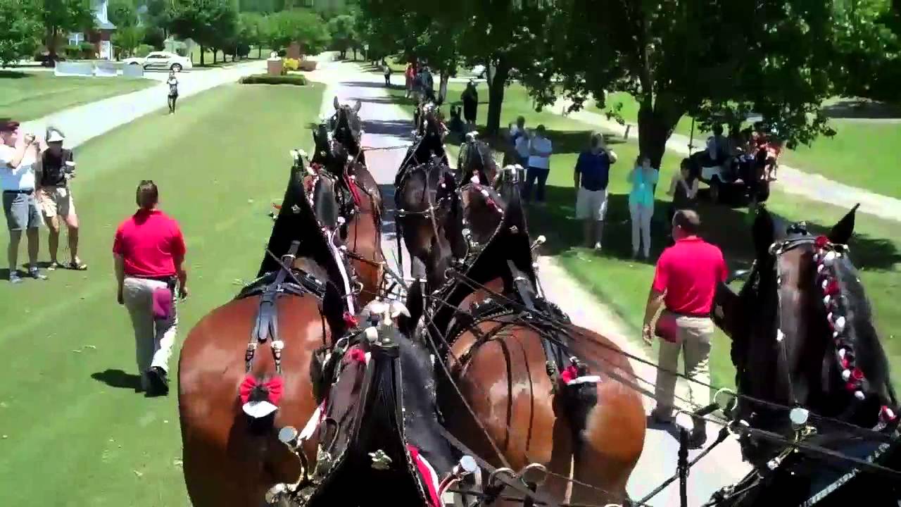 Budweiser Home Delivery Florence, SC May 12, 2013