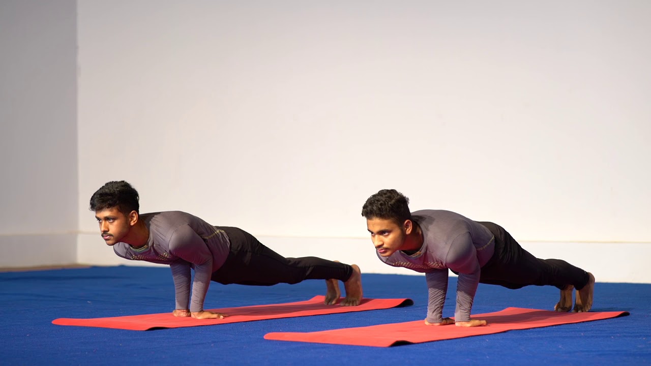 Hamsasana