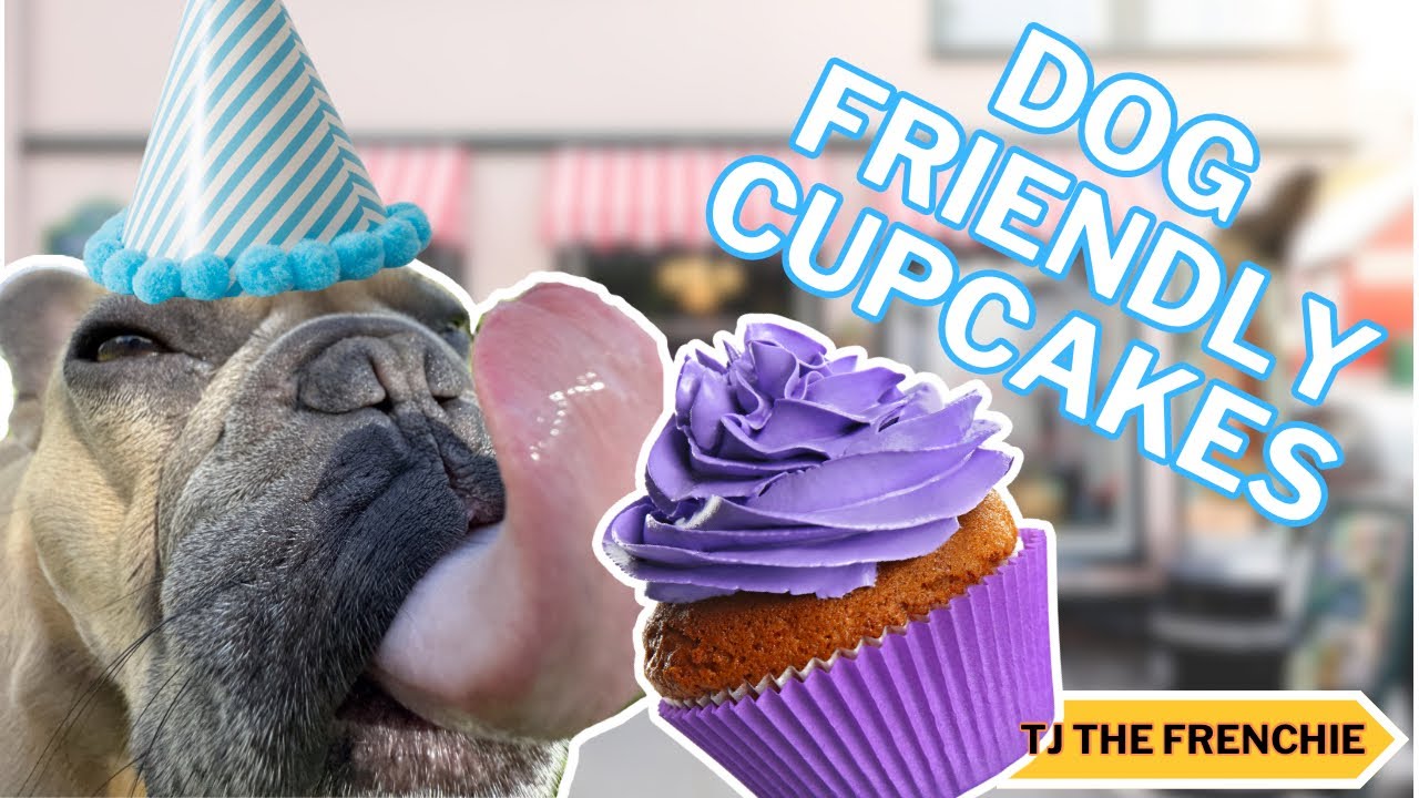 Dog Friendly Cupcake Recipe | Chewsdays With Chef TJ