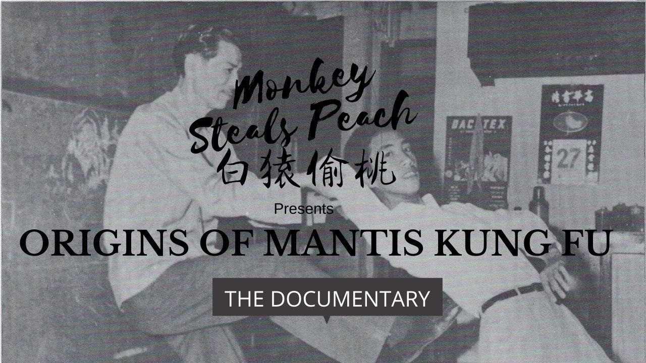 Origins of Mantis Kung Fu p3 - Into the Modern Era