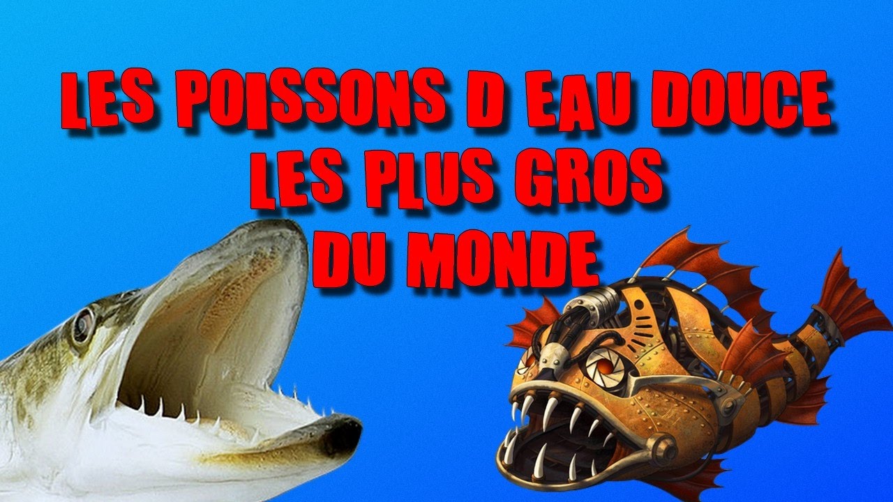 LES POISSONS LES PLUS GROS DU MONDE  [EN EAU DOUCE]