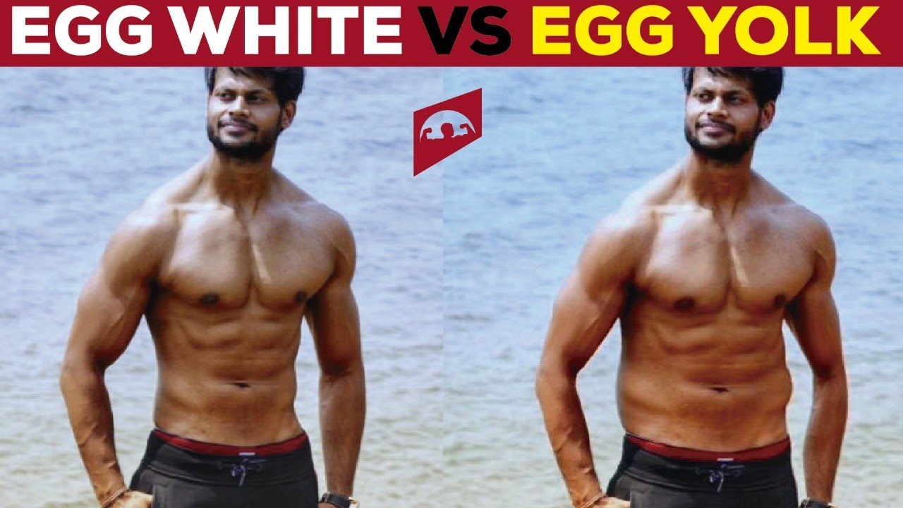 EGG WHITE OR WHOLE EGGS || STOP THIS NONSENSE AND SAVE YOUR MONEY