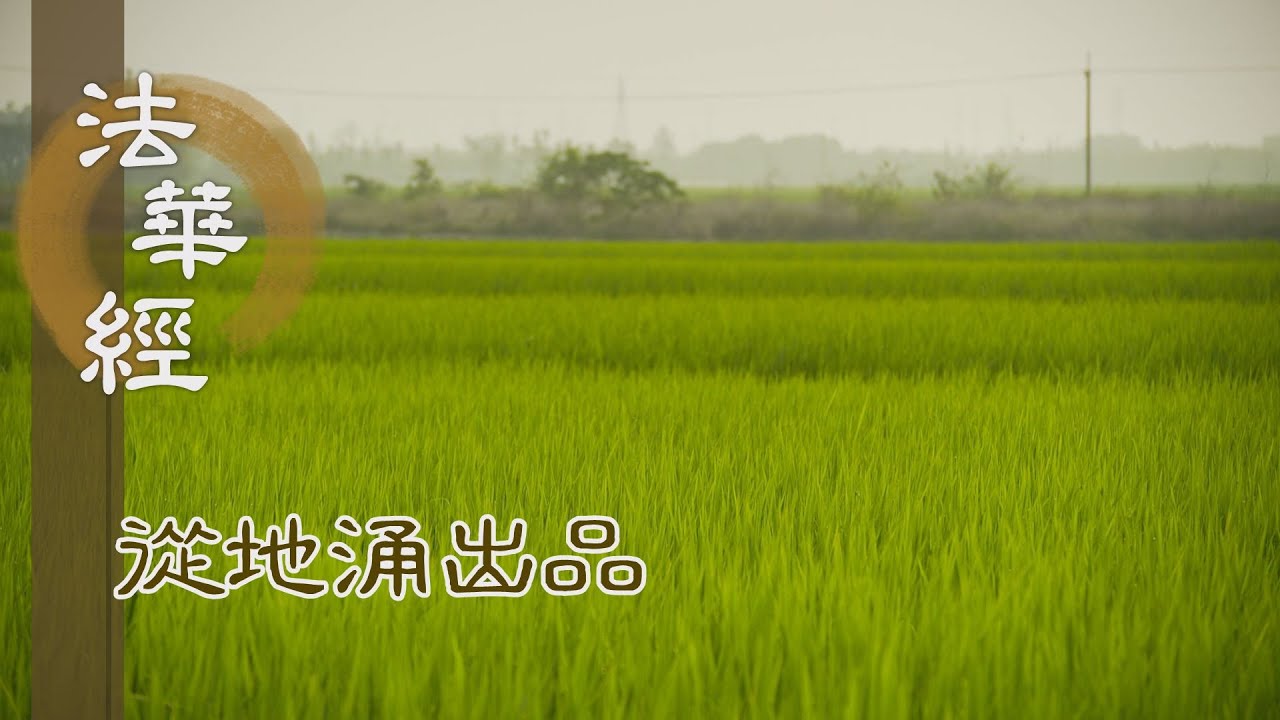 【靜思妙蓮華】法華經從地涌出品 - 樂靜精進 同行大道 - 20230831 第1492集