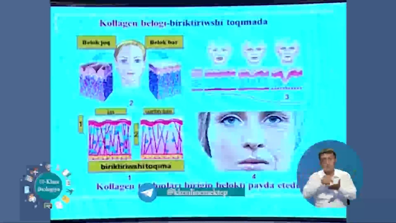 10 Klass Biologiya Tema Beloklar Beloklardiń dúzilisi Beloklardiń