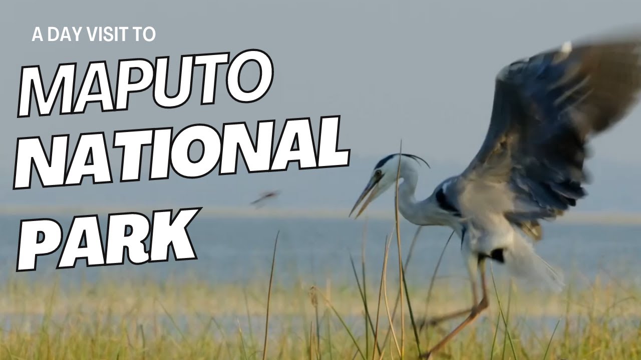 Day Trip,  Parque Nacional de Maputo