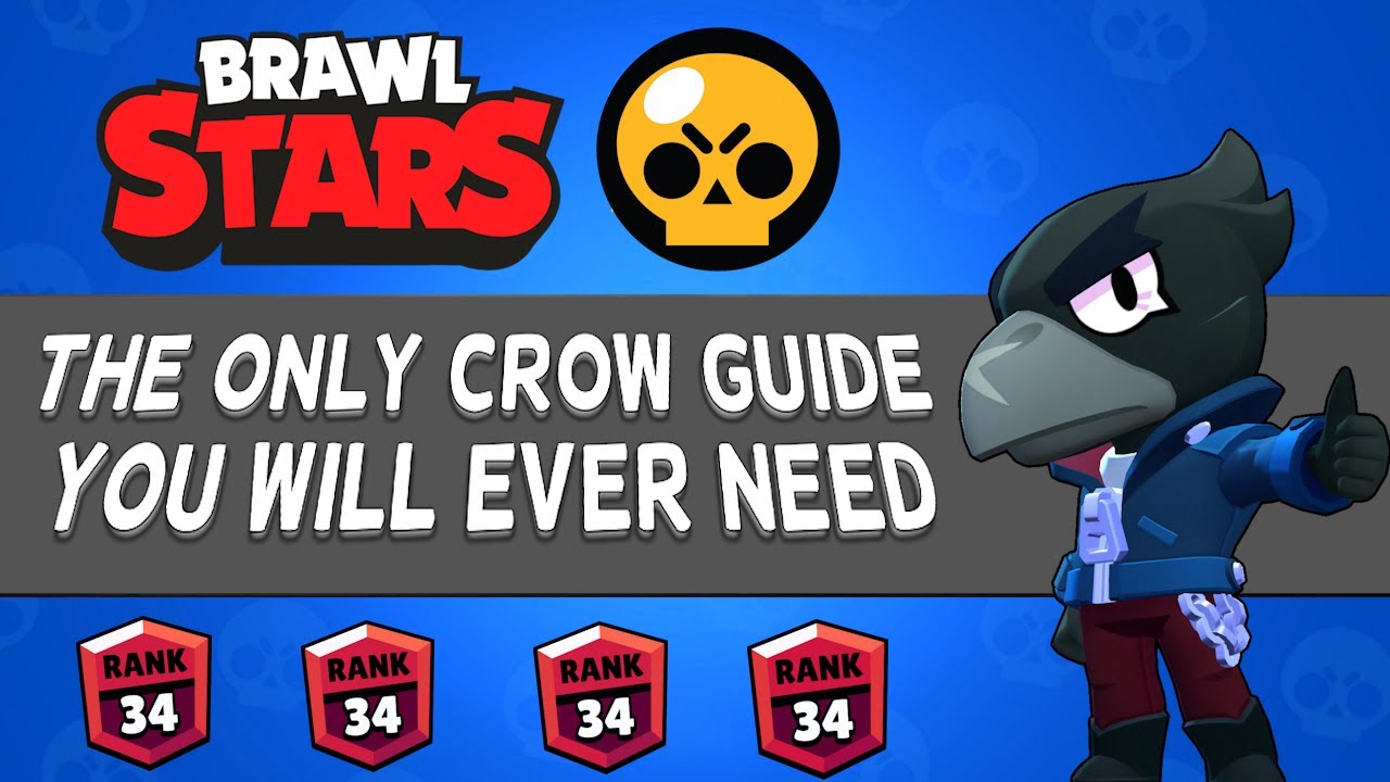 The Only Crow Guide You Will Ever Need | Guide (2024)