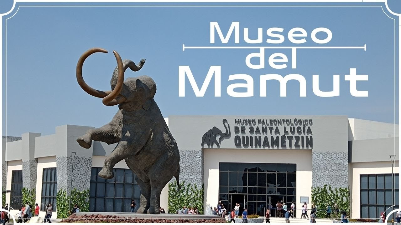Museo Paleontológico de Santa Lucia 🐘 Así es el MUSEO DEL MAMUT
