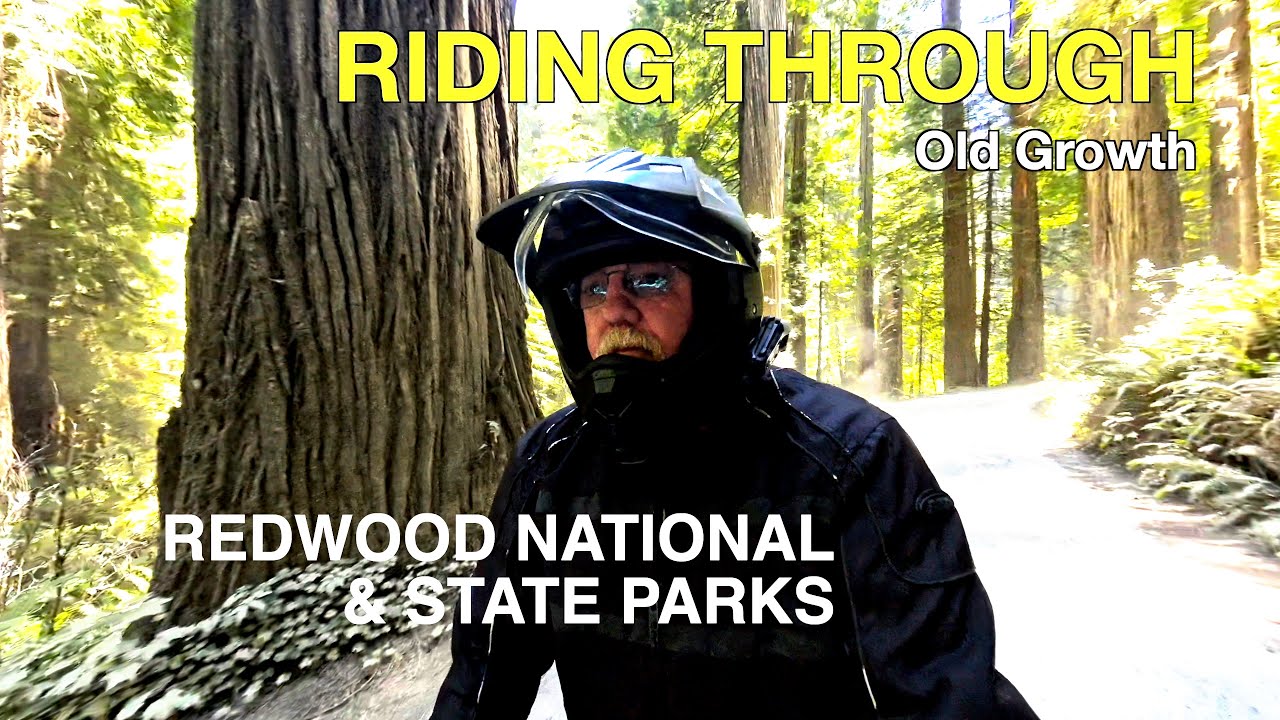 Jedediah Smith Campground ~Redwood National Park~ Camping in California |ROYAL ENFIELD HIMALAYAN|