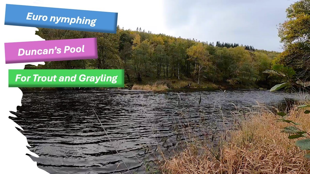 Euro Nymphing Duncan's Pool on the Welsh Dee in High Water