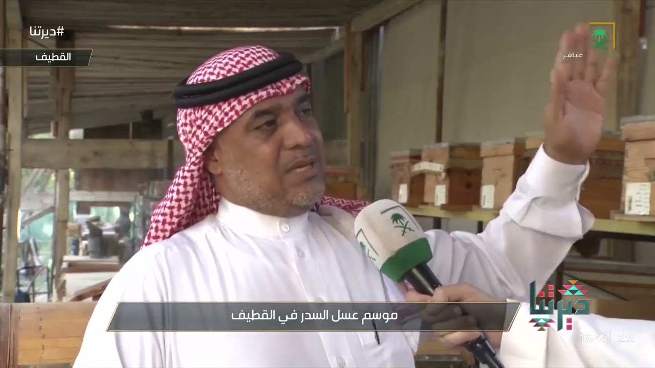 ديرتنا | النحالون بالقطيف يستعدون لنشاطهم.. مع اقتراب موسم عسل السدر
