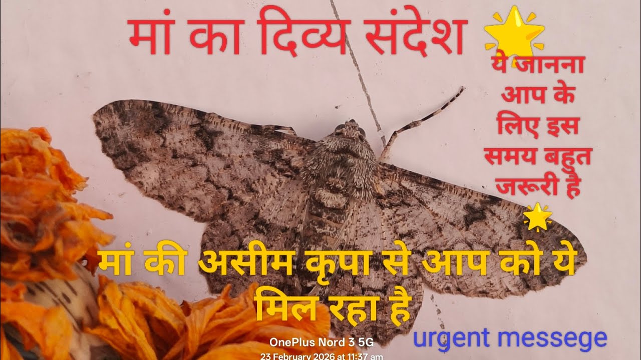 महाकाली मां का urgent messege 🌟
